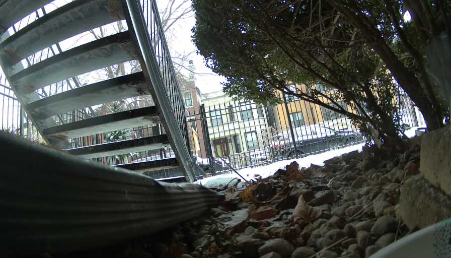 Reolink Camera Two_01_Reolink Home Hub One_20250112100843.jpg